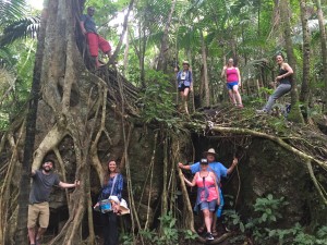 retreat tree
